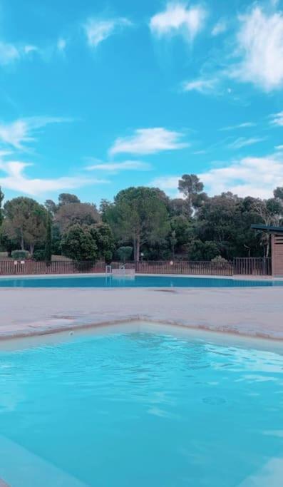 T3 Rez De Jardin, Piscine Appartement