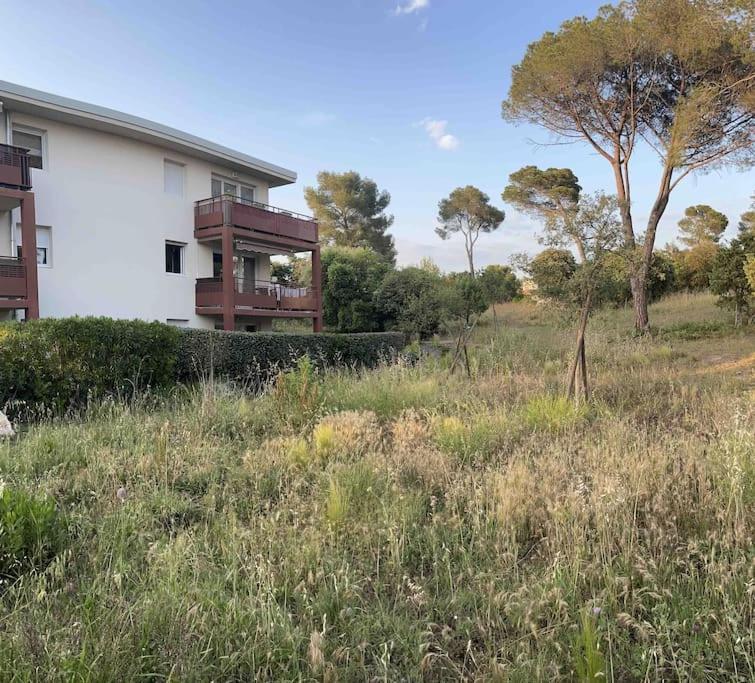 T3 Rez De Jardin, Piscine Appartement *
