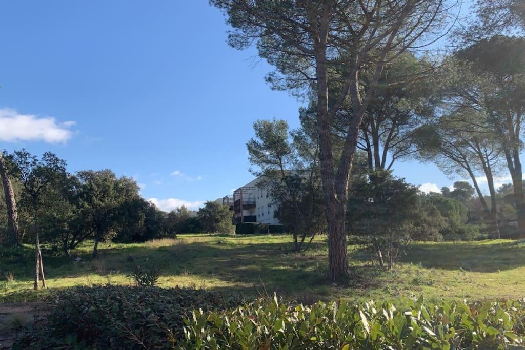 Appartement T3 Rez De Jardin, Piscine